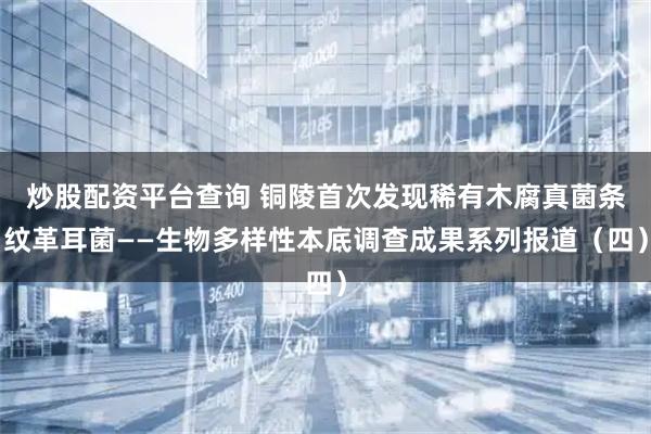 炒股配资平台查询 铜陵首次发现稀有木腐真菌条纹革耳菌——生物多样性本底调查成果系列报道（四）