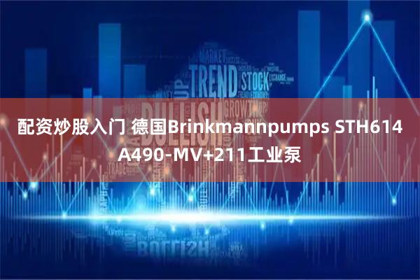配资炒股入门 德国Brinkmannpumps STH614A490-MV+211工业泵