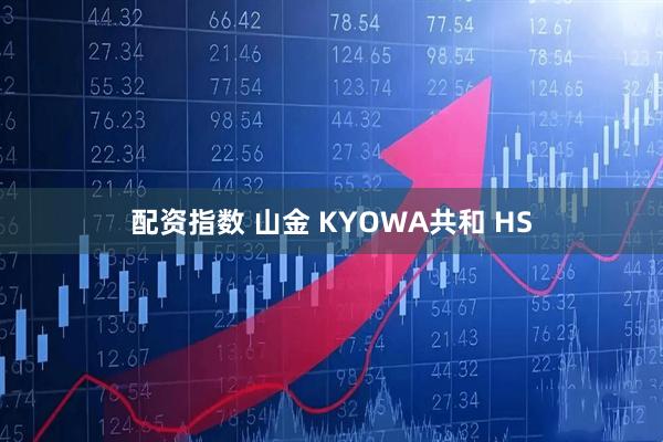 配资指数 山金 KYOWA共和 HS
