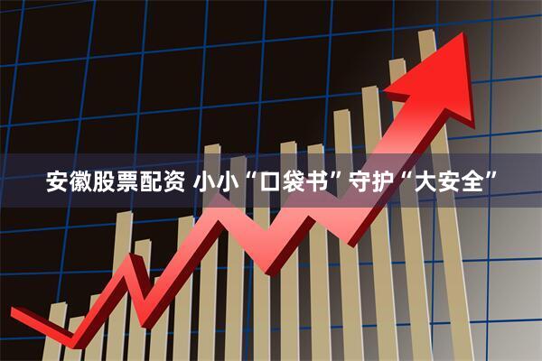 安徽股票配资 小小“口袋书”守护“大安全”